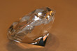 clearcut diamond