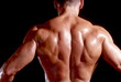 bodybuilders rücken