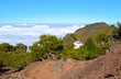 country house above the clouds
