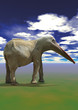 pelifant pelifant