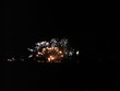 firework