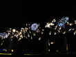 firework