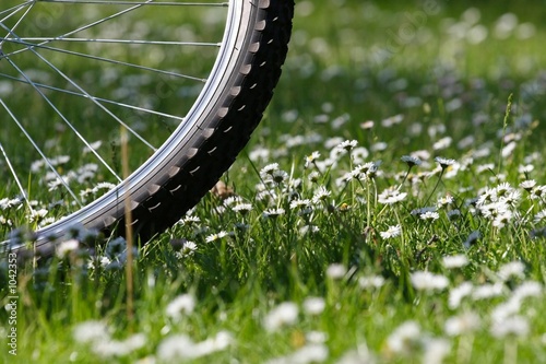 summer cycling. health and sport concept. summer cycling. health and sport concept.