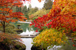 fall color at the garden