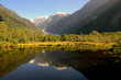 franz josef glacier franz josef glacier
