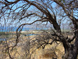 Photo: branches with a view branches with a view