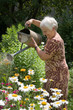 watering flowers