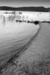 shoreline, sea of galillee, grayscale