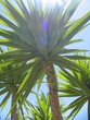 algarve 28