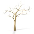 golden tree