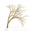 golden tree