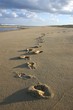 empreintes de pas sur le sable empreintes de pas sur le sable