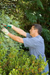 the gardener