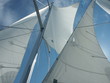 sailing sailing