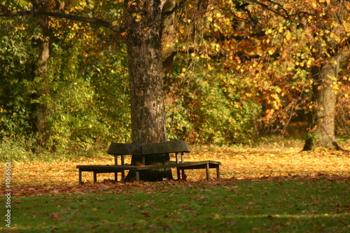 herbststimmung