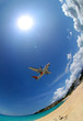 avion