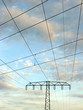 power net