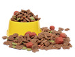 petfood bowl