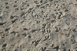 traces