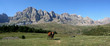 chevaux devant partacua (pn367x14)