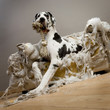 gentil le chienchien gentil le chienchien