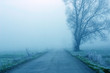Photo en ligne au meilleur prix foggy morning