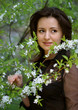 portrait in a cherry garden