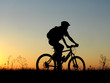biker girl silhouette
