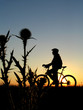 biker girl silhouette