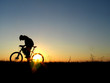 biker girl silhouette