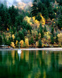autumn reflection