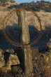 old fence