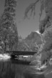 yosemite  half dome in winter