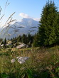 alpage de haute savoie alpage de haute savoie