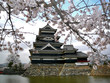 matsumoto castle with cherry blossoms matsumoto castle with cherry blossoms