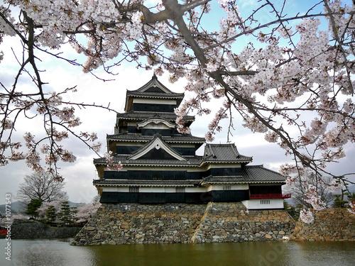 matsumoto castle with cherry blossoms