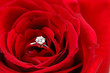 engagement ring in red rose