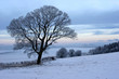 winter in scotland winter in scotland