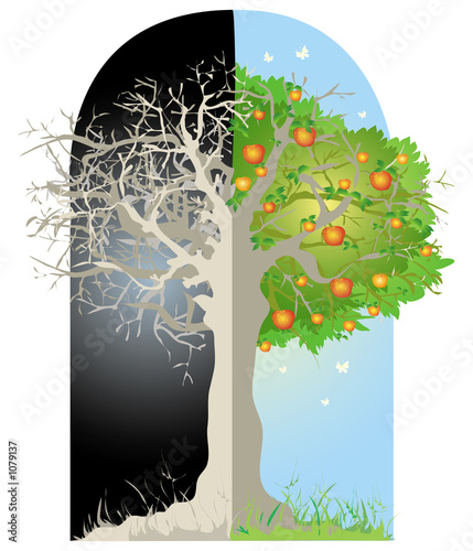 Illustration: tree tree