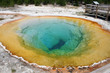 hot spring at yellowstone national park hot spring at yellowstone national park