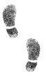 shoe prints