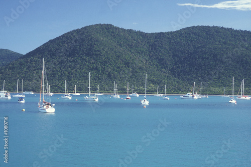 Photo: yachts yachts