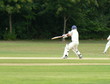cricket