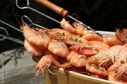 crevettes crevettes
