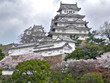 himeji castle during sakura himeji castle during sakura