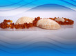 amber and shell
