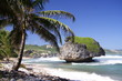 tropical beach tropical beach