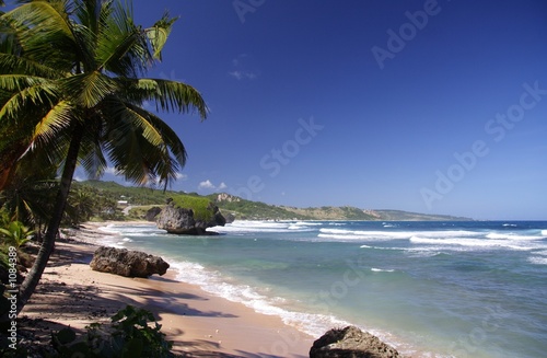 Photo: tropical beach tropical beach