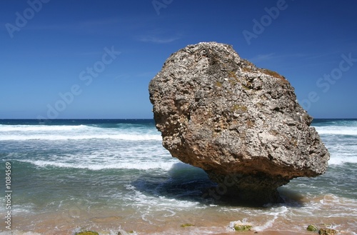 coral rock