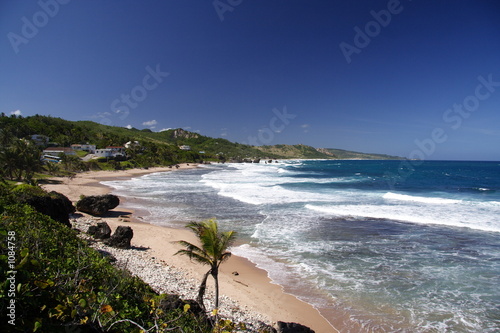 tropical beach